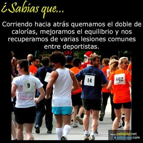 Datos curiosos del deporte