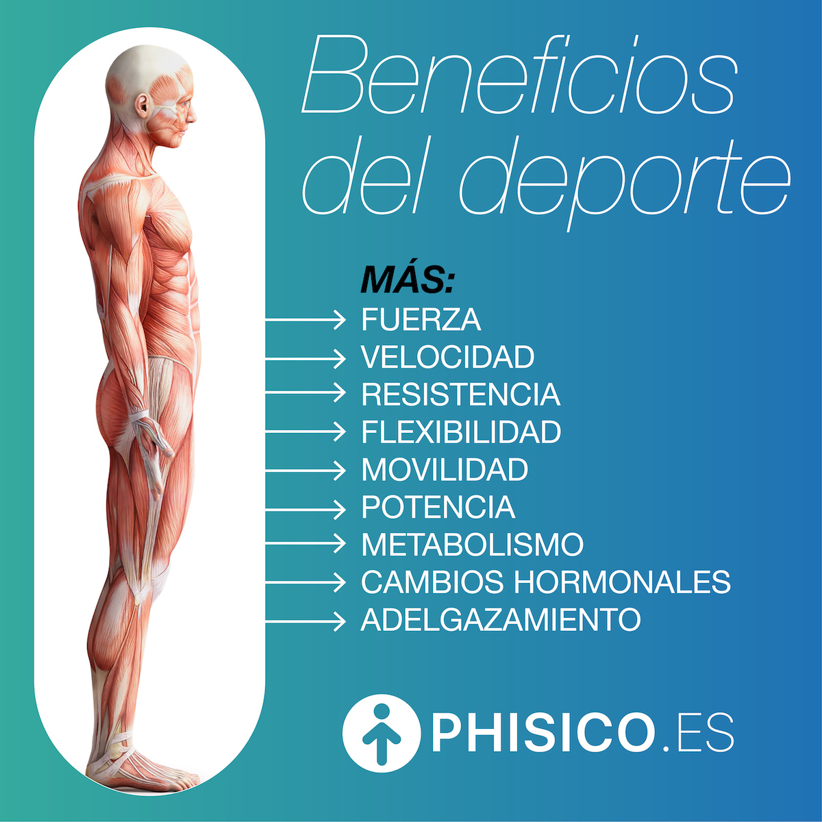 Impacto en entrenamientos y preparación física